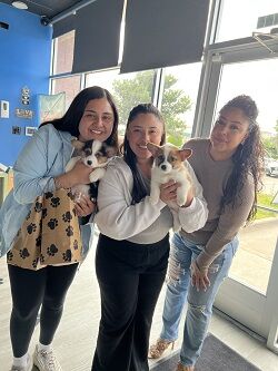 Happy family with their new Pettito puppy